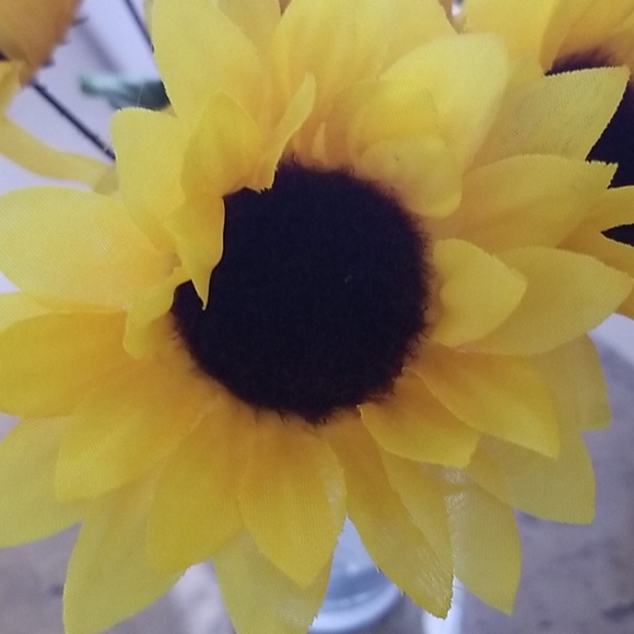 Vase of Sunflowers - Picture 4 of 6